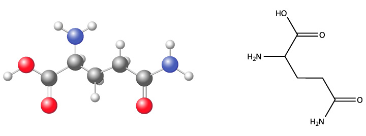 Fórmula química de la glutamina