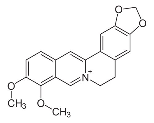 Molécula de berberina
