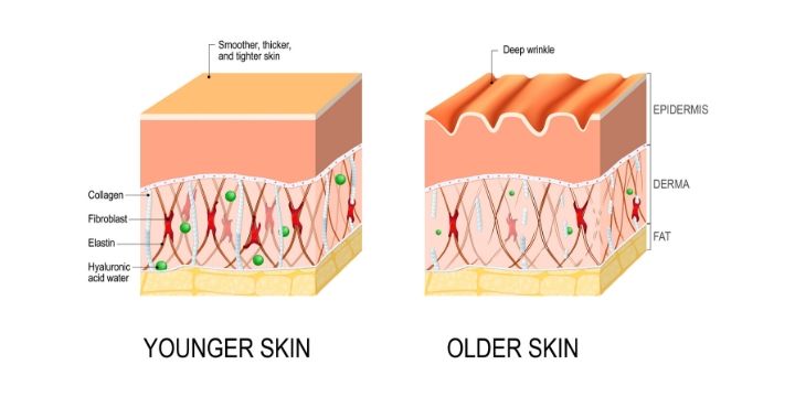 effetti del collagene sulla pelle