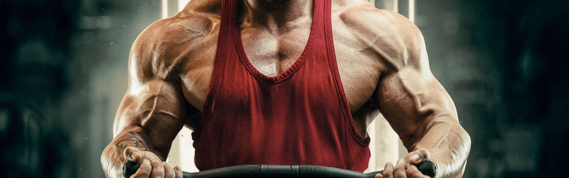Creatine: the queen of performance supplements