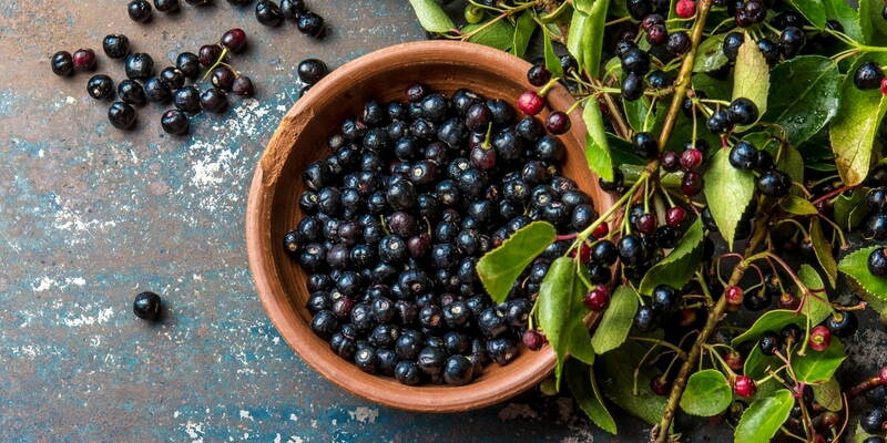 Maqui-Beeren | Ein Konzentrat aus Antioxidantien und Vorteilen