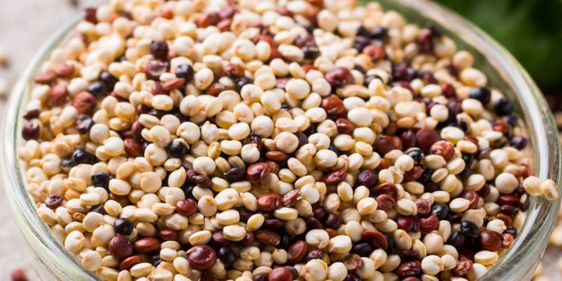 Quinoa, properties and uses