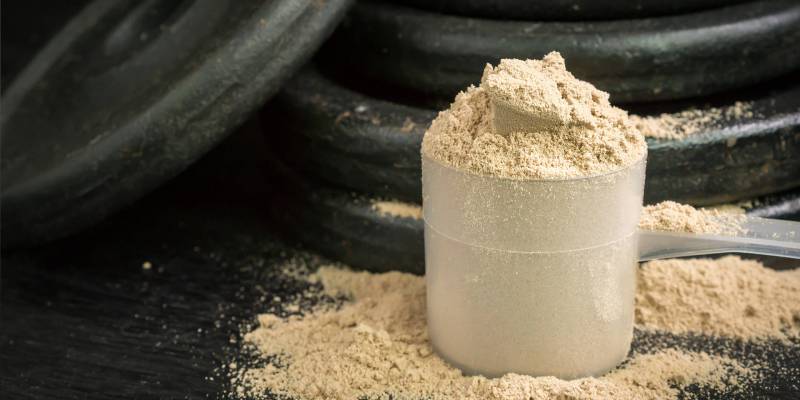 Whey protein: characteristics and use