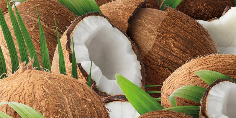 Le proprietà del cocco